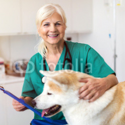 Female-veterinarian-examining-a-dog-in-her-office.jpg