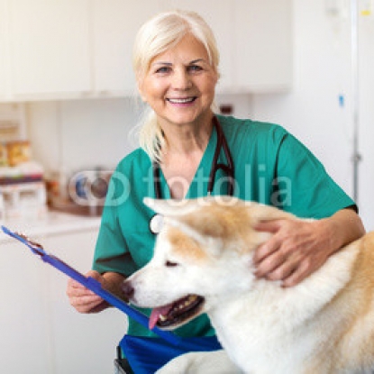 Female-veterinarian-examining-a-dog-in-her-office.jpg